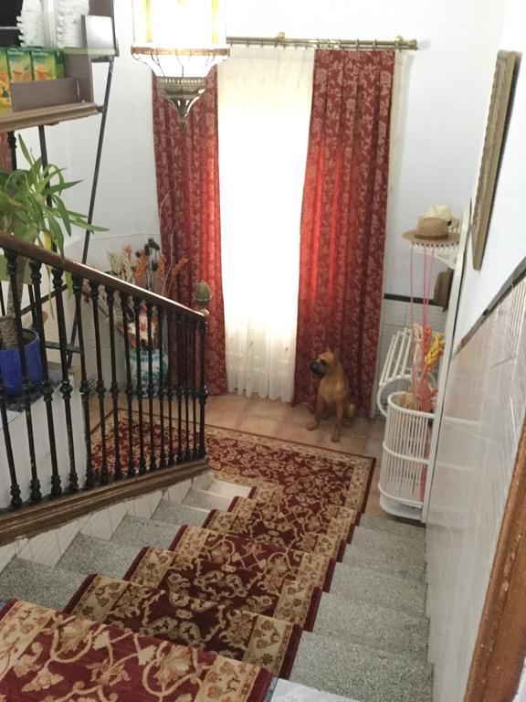 Pension Zurita Granada Bagian luar foto